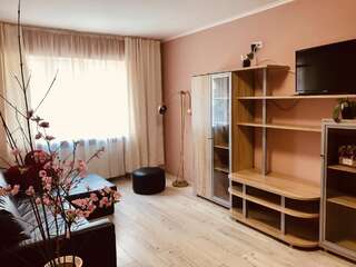 Апартаменты Арт квартира в центрі міста Ужгород Апартаменты с 1 спальней-9