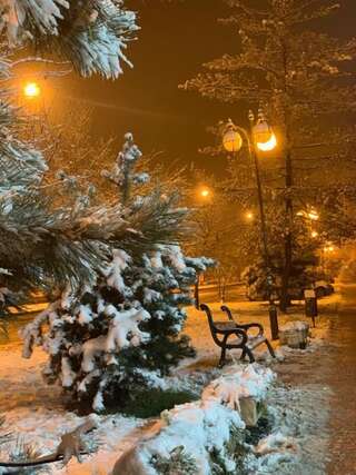 Апартаменты Арт квартира в центрі міста Ужгород Апартаменты с 1 спальней-30